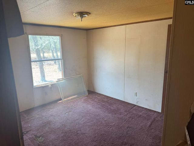 230 Ann Street, Pelion, SC 29123