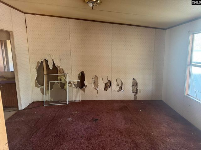 230 Ann Street, Pelion, SC 29123