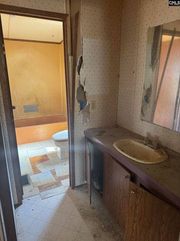 230 Ann Street, Pelion, SC 29123