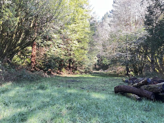 407 WINCHUCK RIVER Rd, Brookings, OR 97415