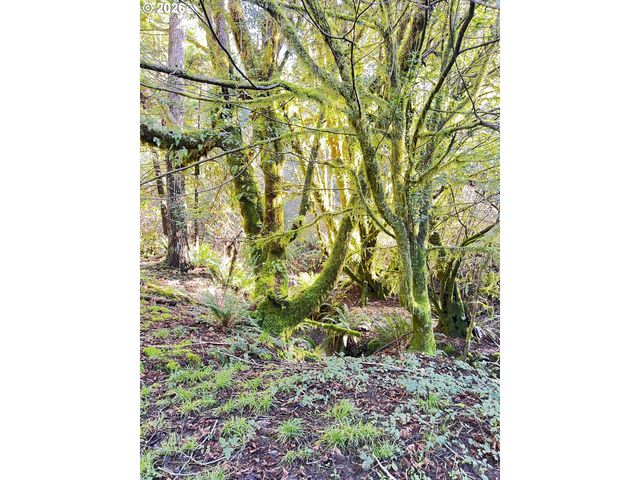 407 WINCHUCK RIVER Rd, Brookings, OR 97415