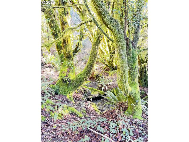 407 WINCHUCK RIVER Rd, Brookings, OR 97415