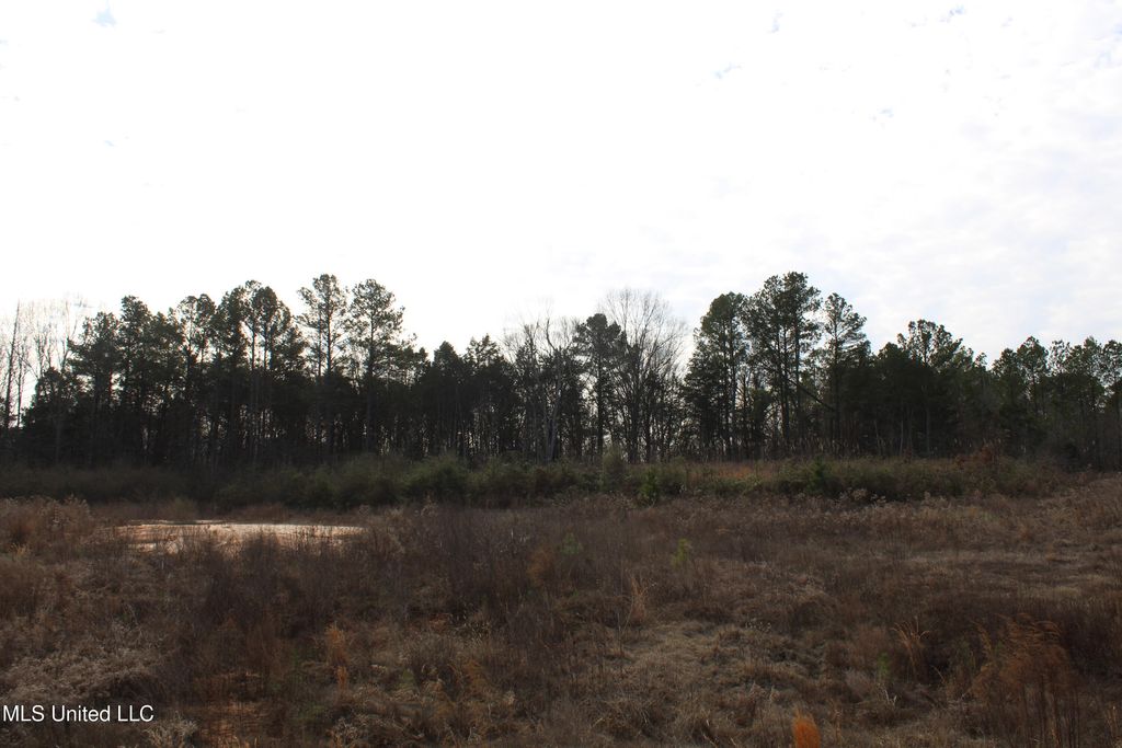 5 Taylor Nichole Road, Byhalia, MS 38611 — photo 5