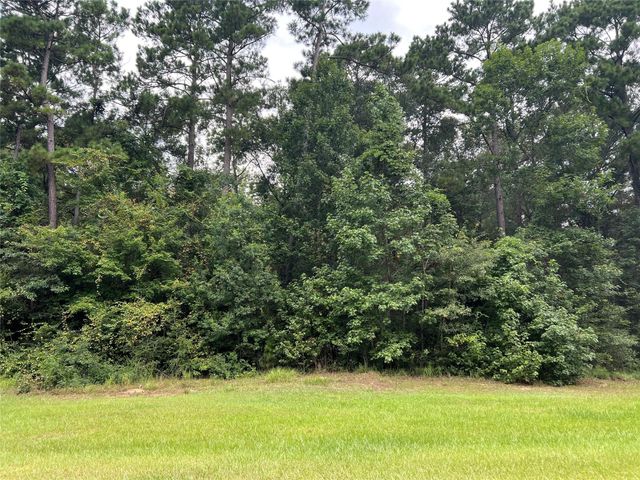TBD Lure Lane, Livingston, TX 77351