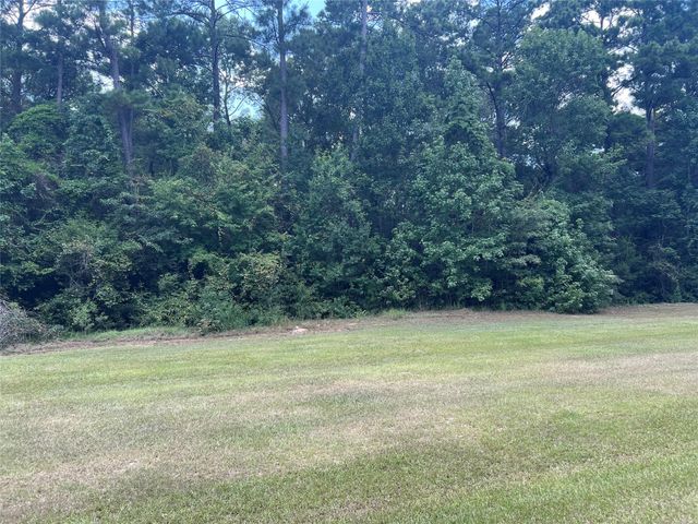 TBD Lure Lane, Livingston, TX 77351