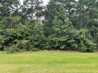 TBD Lure Lane, Livingston, TX 77351