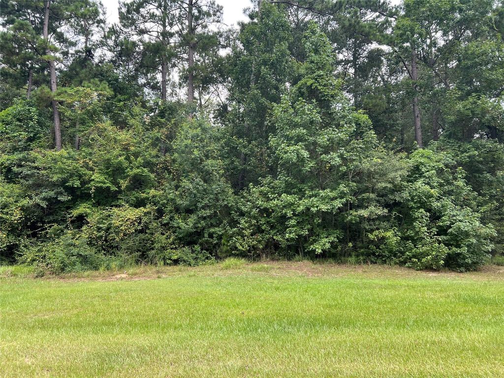 TBD Lure Lane, Livingston, TX 77351