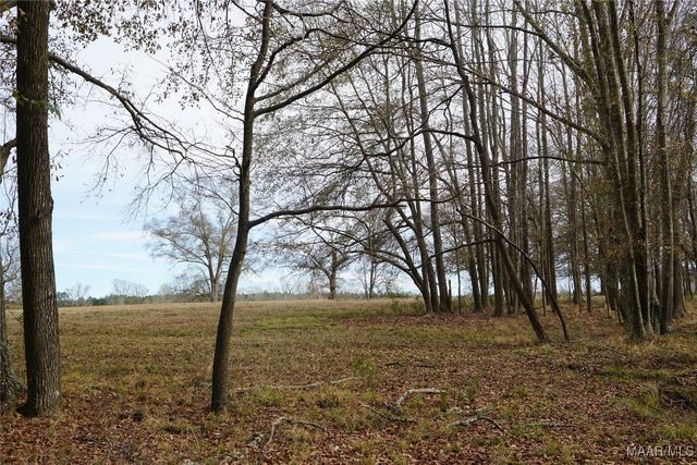 2434 Peake Road, Ramer, AL 36069