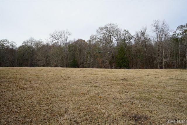 2434 Peake Road, Ramer, AL 36069