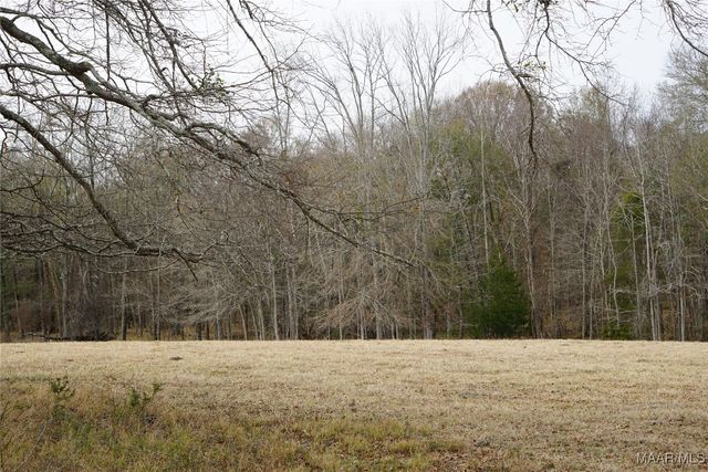 2434 Peake Road, Ramer, AL 36069