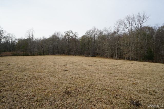 2434 Peake Road, Ramer, AL 36069