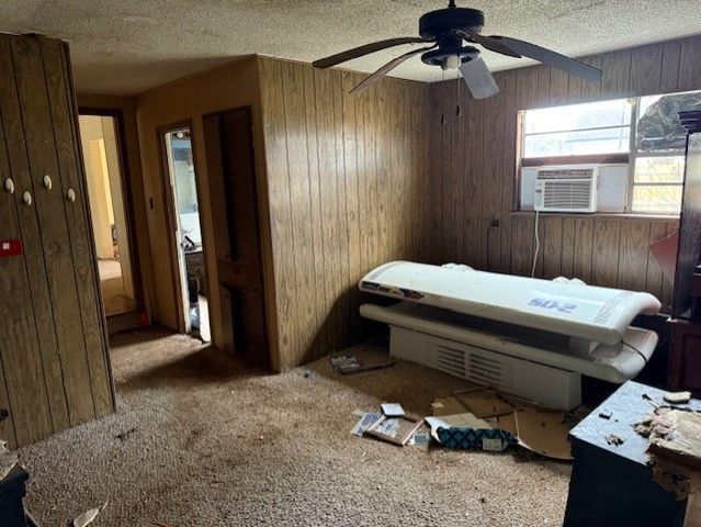 212 S Wilson Street, Bells, TX 75414