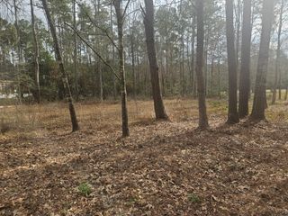 289 L Denson Road, Coldspring, TX 77331