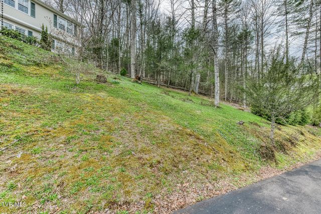 580 Cedar Street, Mountain City, TN 37683