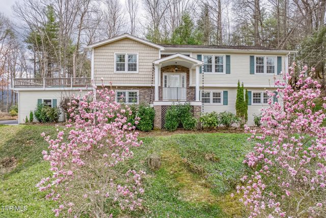 580 Cedar Street, Mountain City, TN 37683
