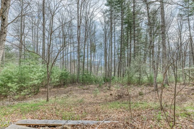 580 Cedar Street, Mountain City, TN 37683