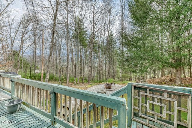 580 Cedar Street, Mountain City, TN 37683