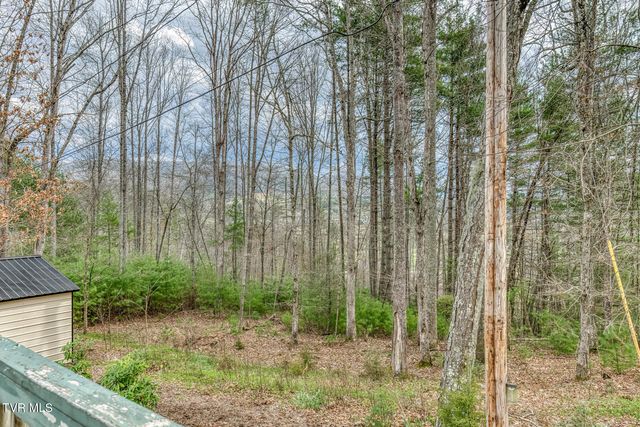 580 Cedar Street, Mountain City, TN 37683