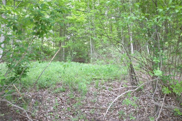 L8 East Pompey Hollow Road, Cazenovia, NY 13035