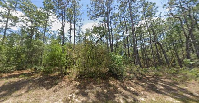 3658 W GALLEON STREET, Dunnellon, FL 34433