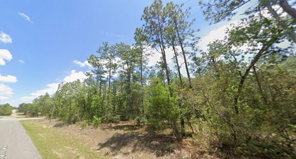 Image 3 of property listing at 3658 W GALLEON STREET, Dunnellon, FL 34433
