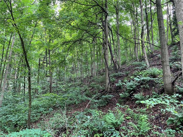 0 Constitution Blvd, Brighton Twp, PA 15066