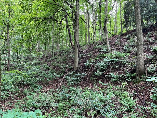 0 Constitution Blvd, Brighton Twp, PA 15066