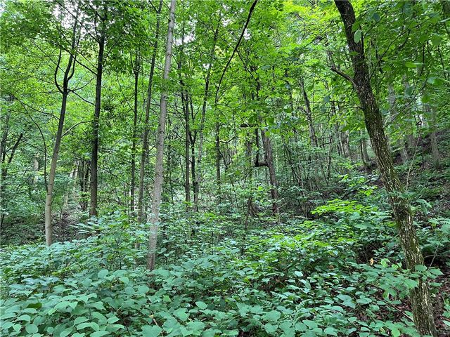 0 Constitution Blvd, Brighton Twp, PA 15066