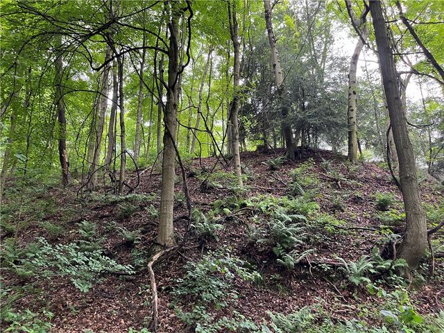 0 Constitution Blvd, Brighton Twp, PA 15066