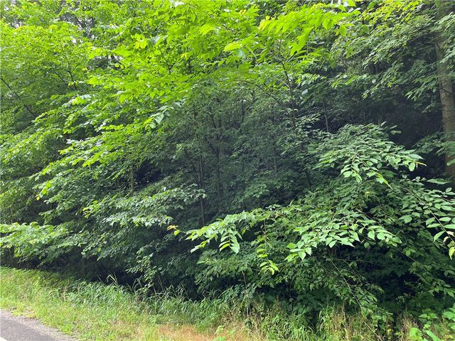 0 Constitution Blvd, Brighton Twp, PA 15066