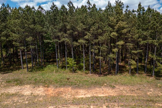0 River Bluffs Drive Rb194, Jasper, TN 37347