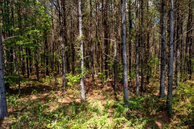 0 River Bluffs Drive Rb194, Jasper, TN 37347