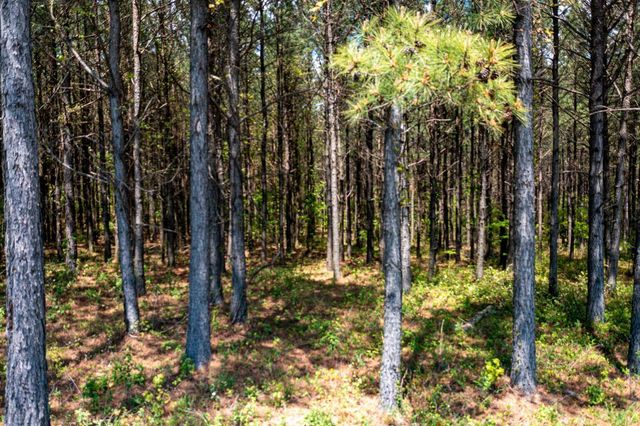 0 River Bluffs Drive Rb194, Jasper, TN 37347