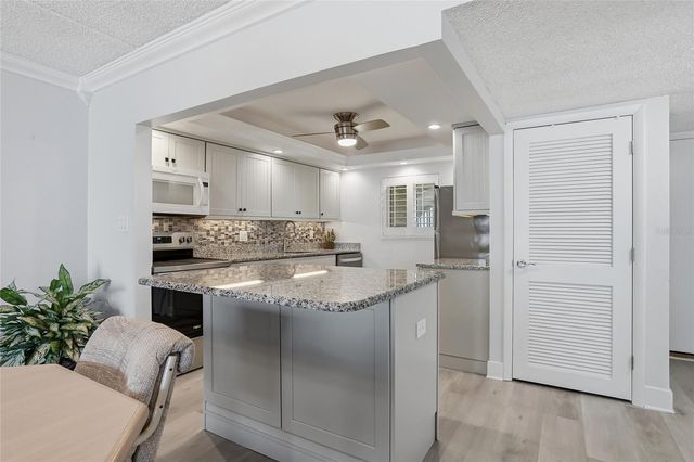 868 BAYWAY BOULEVARD 101, Clearwater Beach, FL 33767