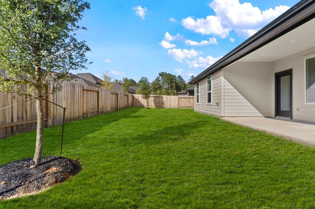 4525 Iguaza Falls Drive, Conroe, TX 77303