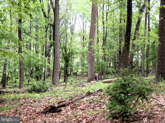 14170 MONTICELLO DR, Cooksville, MD 21723