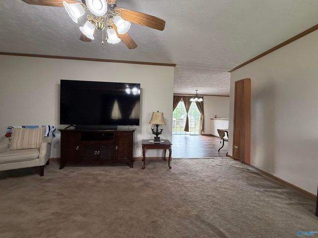 471 Nelson Hollow Road, Somerville, AL 35670