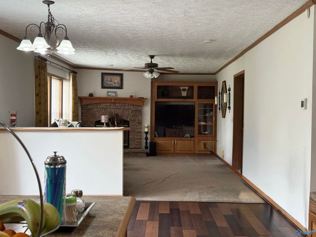 471 Nelson Hollow Road, Somerville, AL 35670