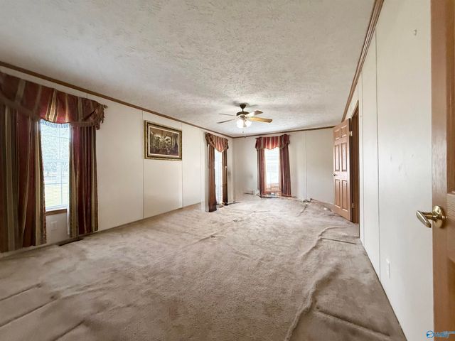 471 Nelson Hollow Road, Somerville, AL 35670