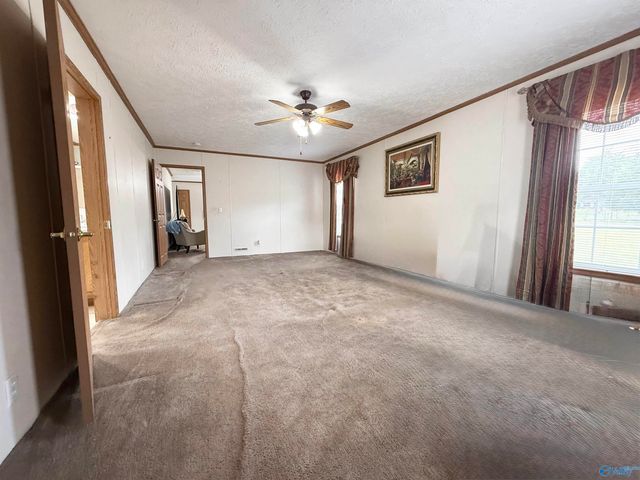 471 Nelson Hollow Road, Somerville, AL 35670