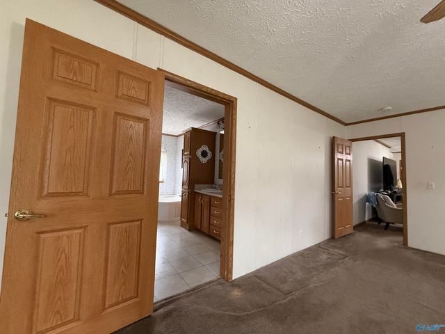 471 Nelson Hollow Road, Somerville, AL 35670