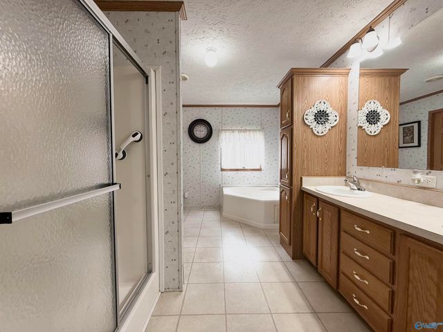 471 Nelson Hollow Road, Somerville, AL 35670