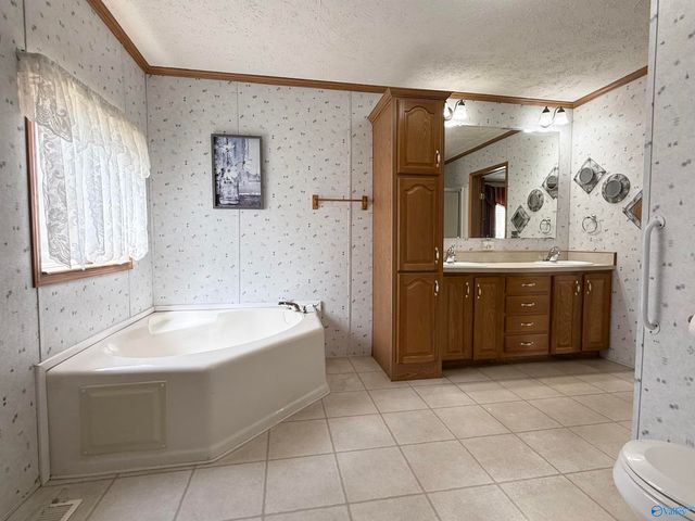 471 Nelson Hollow Road, Somerville, AL 35670