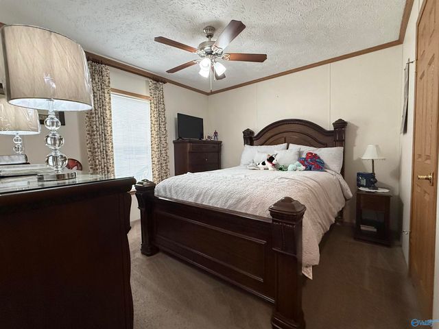 471 Nelson Hollow Road, Somerville, AL 35670