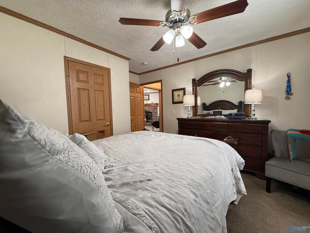 471 Nelson Hollow Road, Somerville, AL 35670