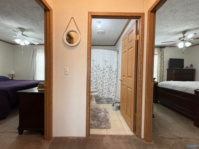 471 Nelson Hollow Road, Somerville, AL 35670