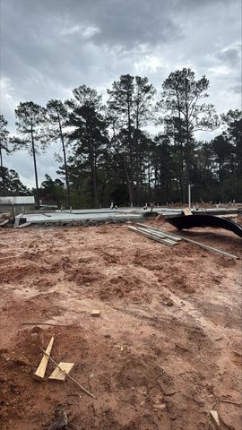 16859 Deep Wingbat Way, Magnolia, TX 77354