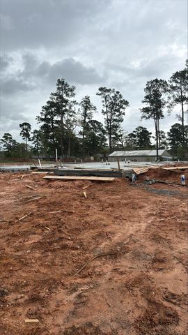 16859 Deep Wingbat Way, Magnolia, TX 77354