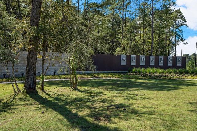 16859 Deep Wingbat Way, Magnolia, TX 77354