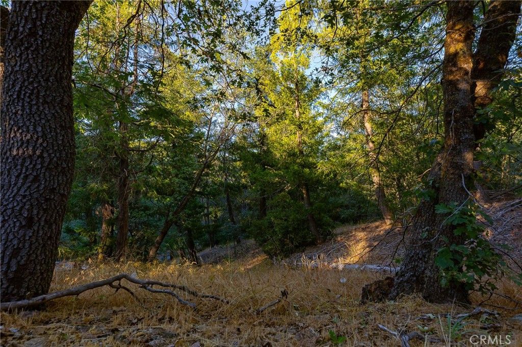 Image 1 of property listing at 0 Ridge Drive, Cedarpines Park, CA 92322